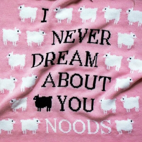 Cover art for I Never Dream About You